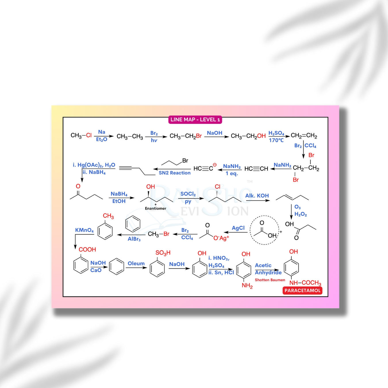 NEET (UG) Chemistry Flashcards