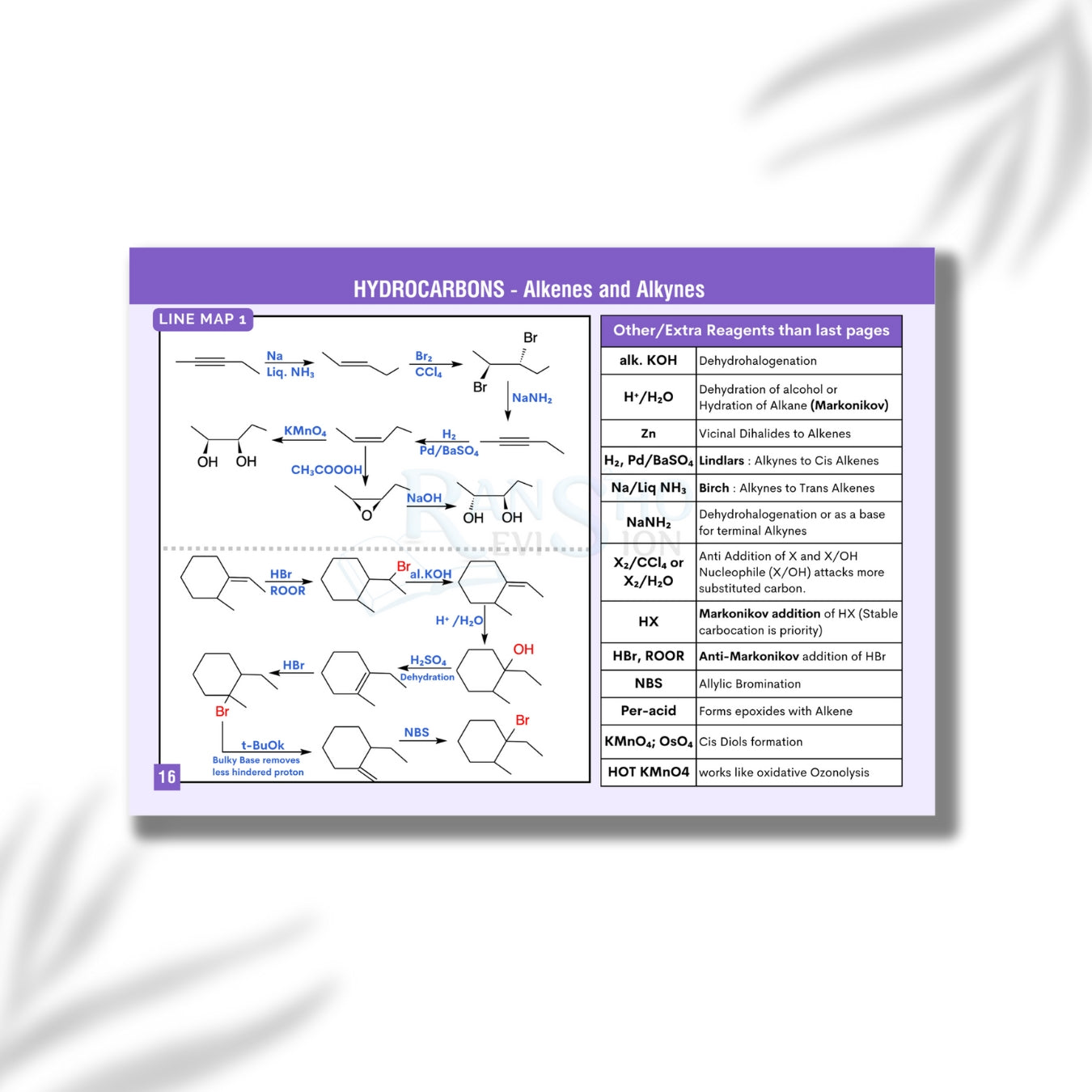 NEET (UG) Chemistry Flashcards