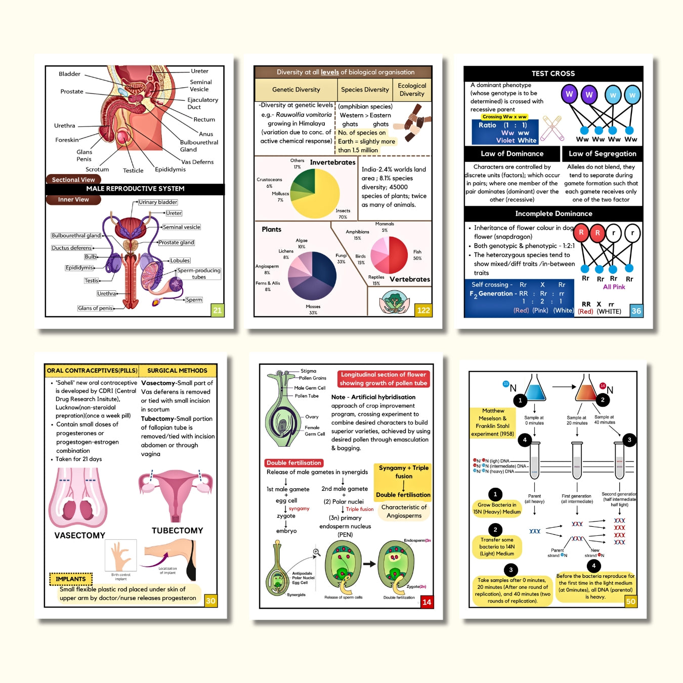 The Biology Combo (Class 11th and 12th) Flashcards | NEET (UG) – Ransho ...